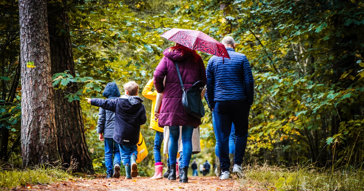 NVA Steenwijkerland-Meppel organiseert activiteiten rond autisme in omgeving