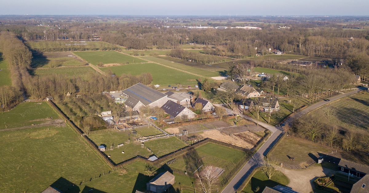 Zorginstelling in Loenen stelt medewerker op non-actief na meldingen van seksueel wangedrag