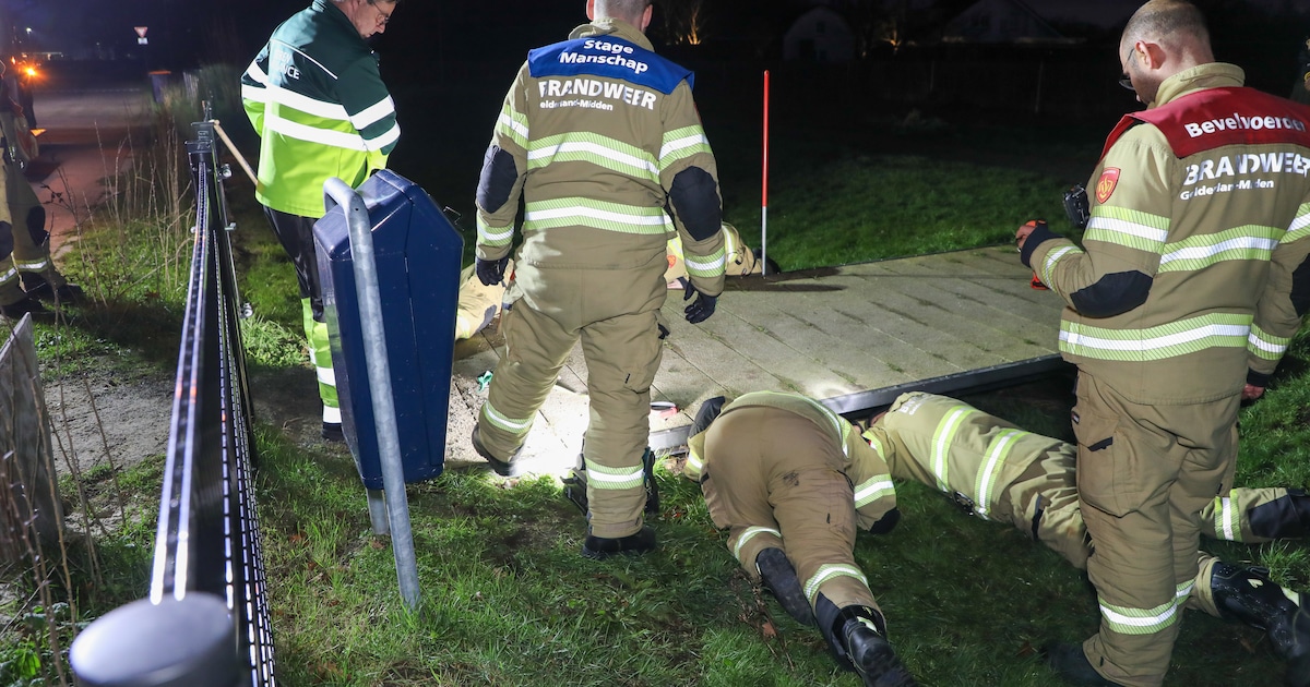 Geschrokken hond kruipt onder brug in Barneveld