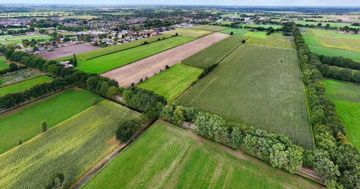 Nieuwleusen toont eerste opzet van woonwijk Palthelanden