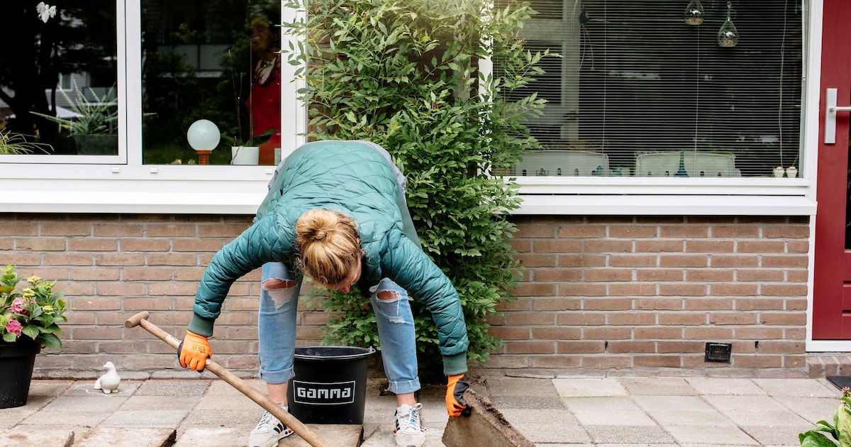 Gratis big bags beschikbaar voor deelnemers NK Tegelwippen