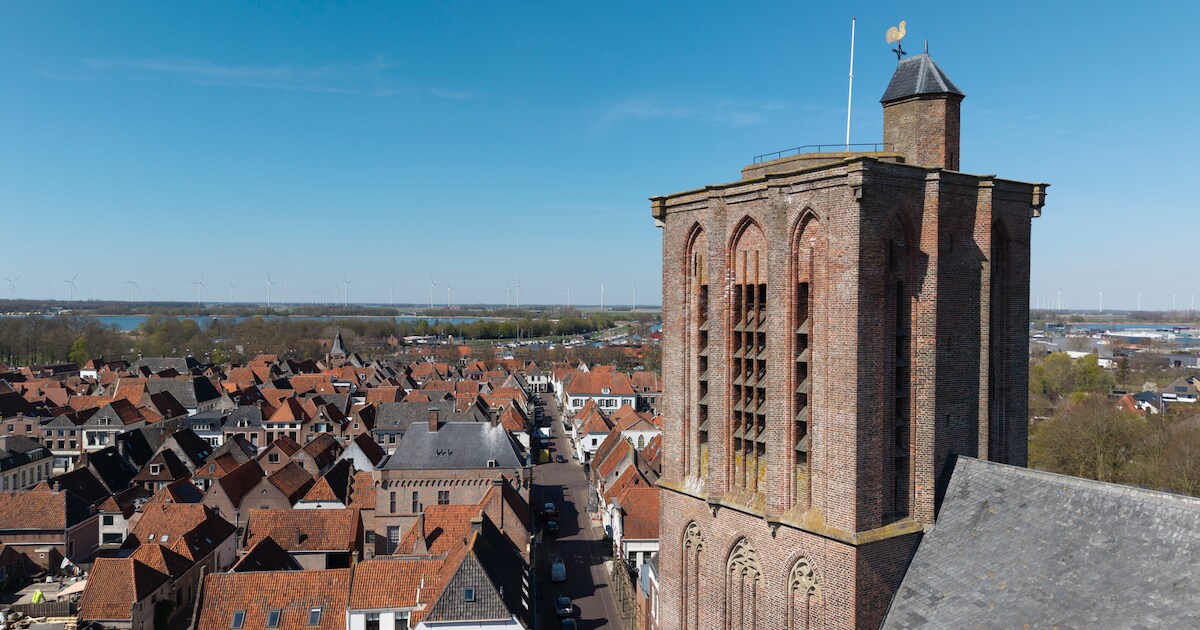 Gratis zomerconcerten van Veluws Mannenensemble keren terug in Elburg | Foto