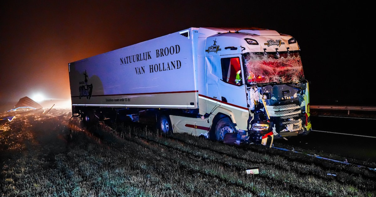 Vrachtwagen ramt verkeersbord langs de A37 bij Nieuw-Amsterdam