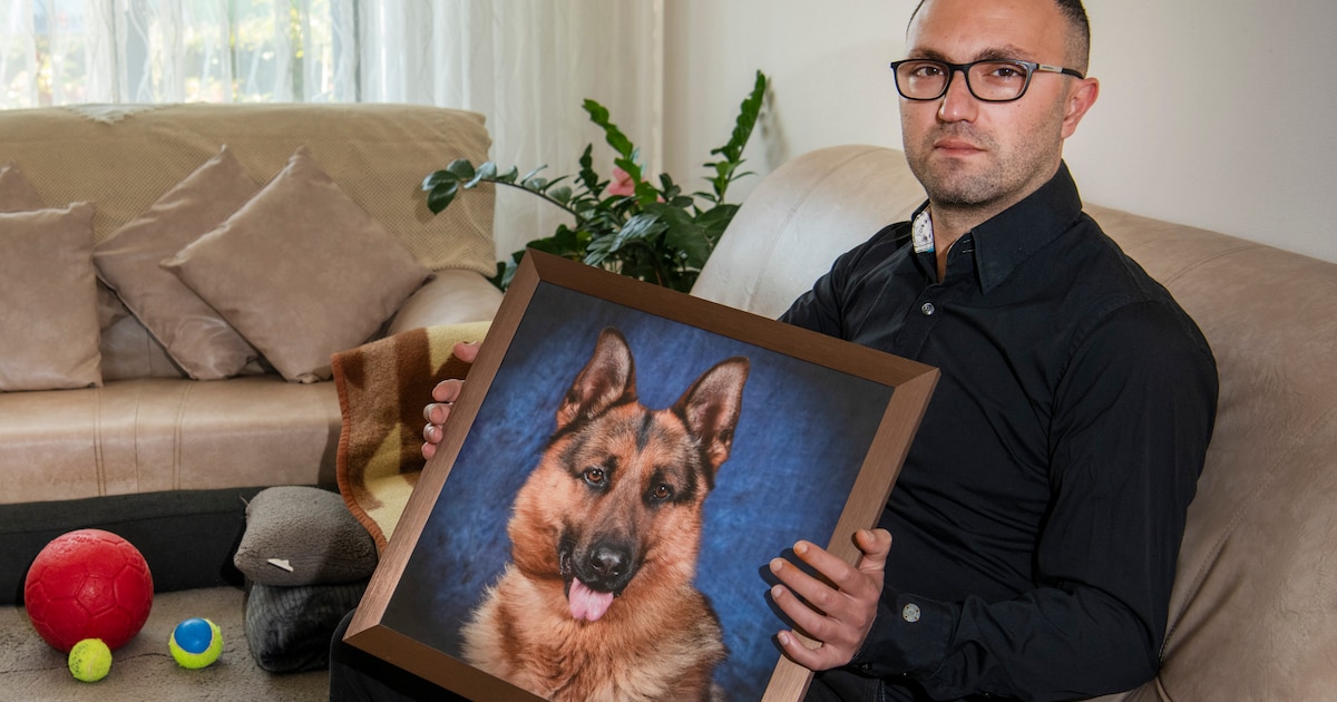 Gökhan (38) rouwt nog steeds om ingeslapen hond Çakir, nu eist hij antwoorden van dierenartsen