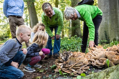 IVN houdt paddenstoelenexcursies door heel Gelderland