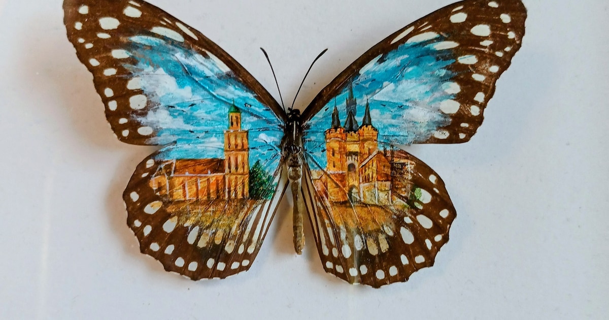 Museum laat mensen Zwolle ontdekken in miniatuurvorm