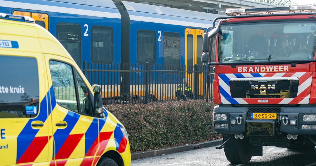 Aanrijding bij station Harderwijk: treinen tussen Zwolle en Amersfoort rijden weer
