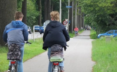 Bomen door speciale constructie gespaard langs N348, weg dicht voor inspectie