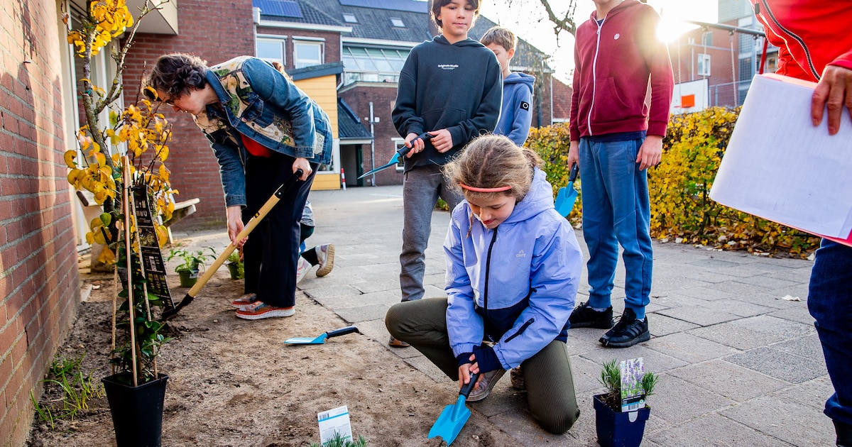 Montessorischool Nijmegen Oost krijgt groener schoolplein