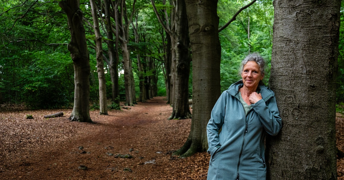 Sabine stuurt noodkreet over Oude Tempel: ‘Er is geen excuus meer in deze tijd om bos te kappen’