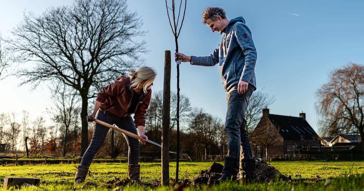 Informatieavond versterking biodiversiteit in Heumen