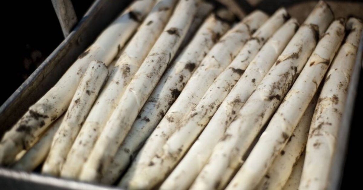 Asperges door de kou weken later