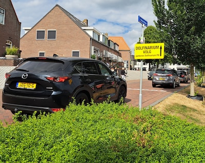 Op weg naar het Dolfinarium reden veel mensen zich klem: Google én gemeente komen nu in actie
