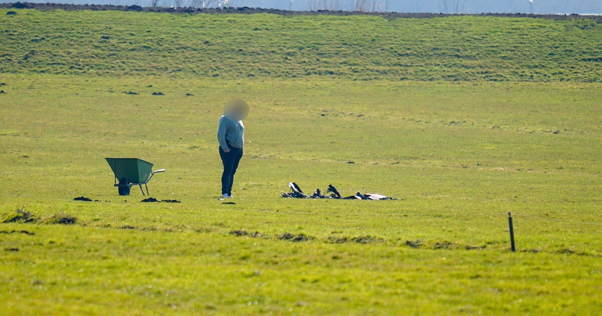 Drone stort neer in weiland aan de Middenweg in Watergang