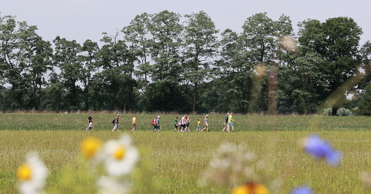 Rondleidingen over landbouwgrond in Empe laten zien hoe natuur terugkeert