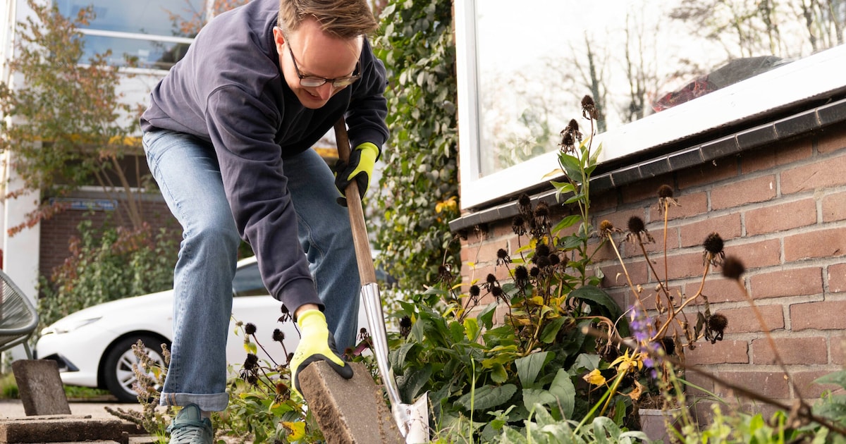 Tegels weg, groen erin: zo goed scoorde Amersfoort bij het NK Tegelwippen