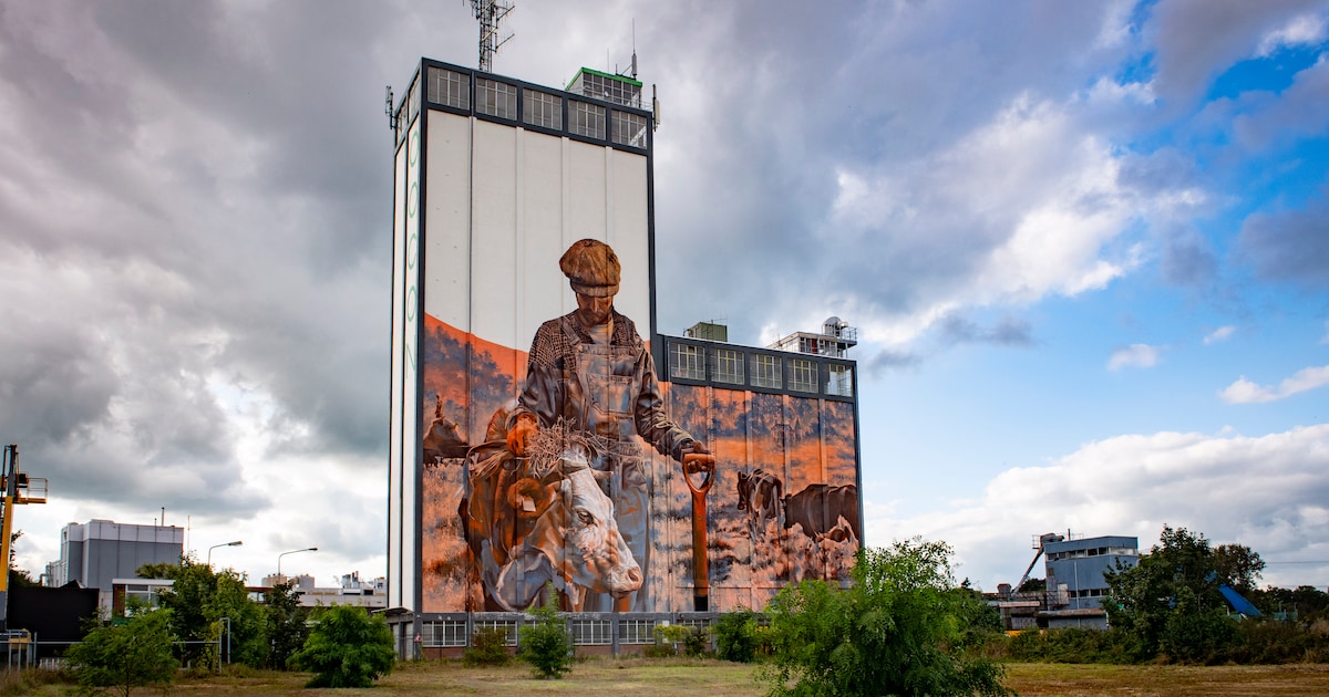 Fietsen langs beschilderde, enorme boerensilo’s: ‘De Nachtwacht? Daar halen wij de schouders voor op