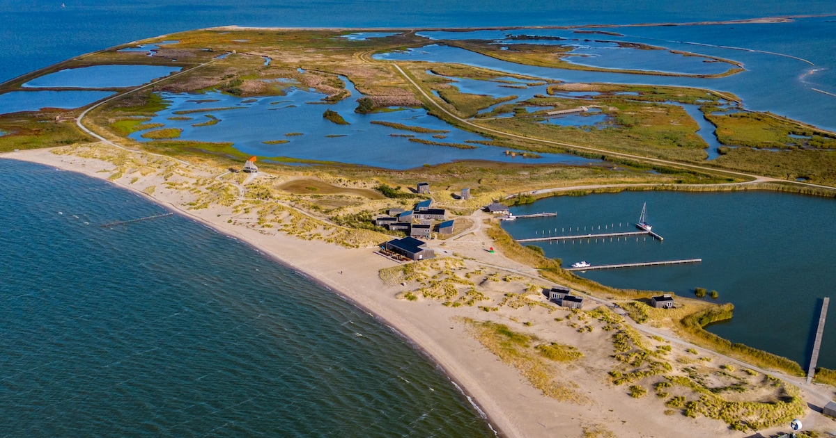 Nóg een plan voor nieuwe stad tussen Almere en Amsterdam: ‘Markerwaard 2.0’