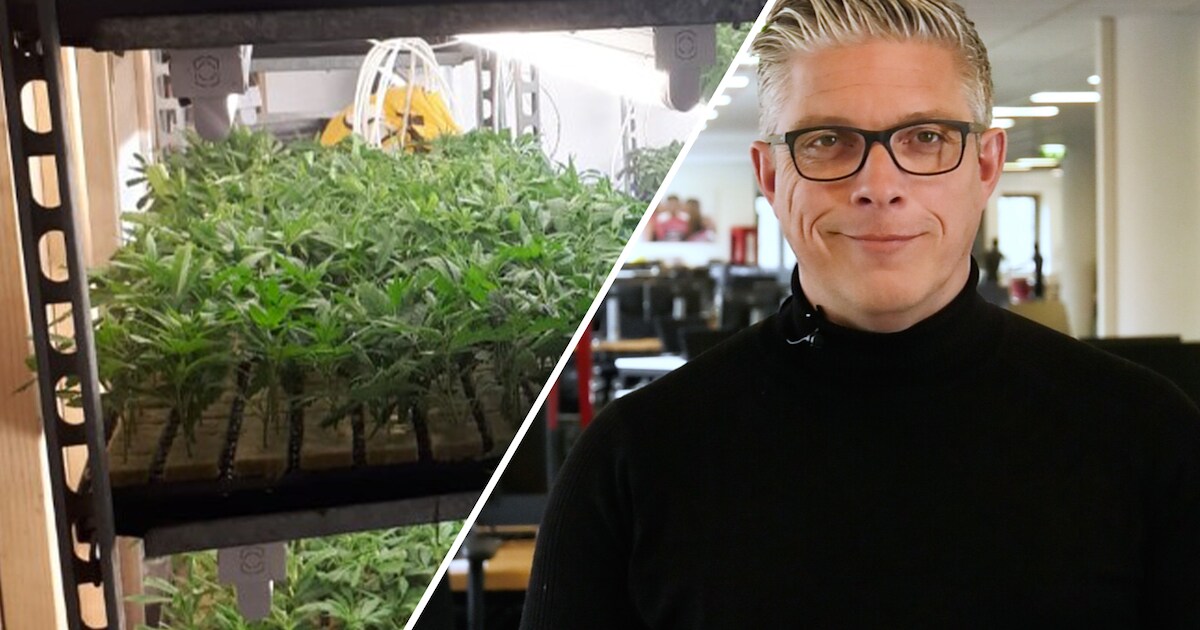 De Stentor Nieuws Update | Enorme hennepkwekerij opgerold en een grote paardenspeeltuin in Empe