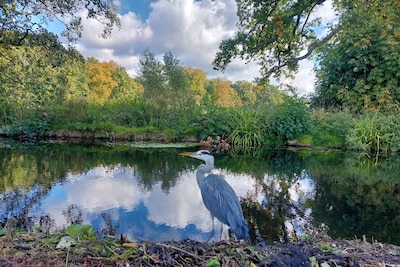 Dit is er in Arnhem te doen tussen kerst en oud en nieuw