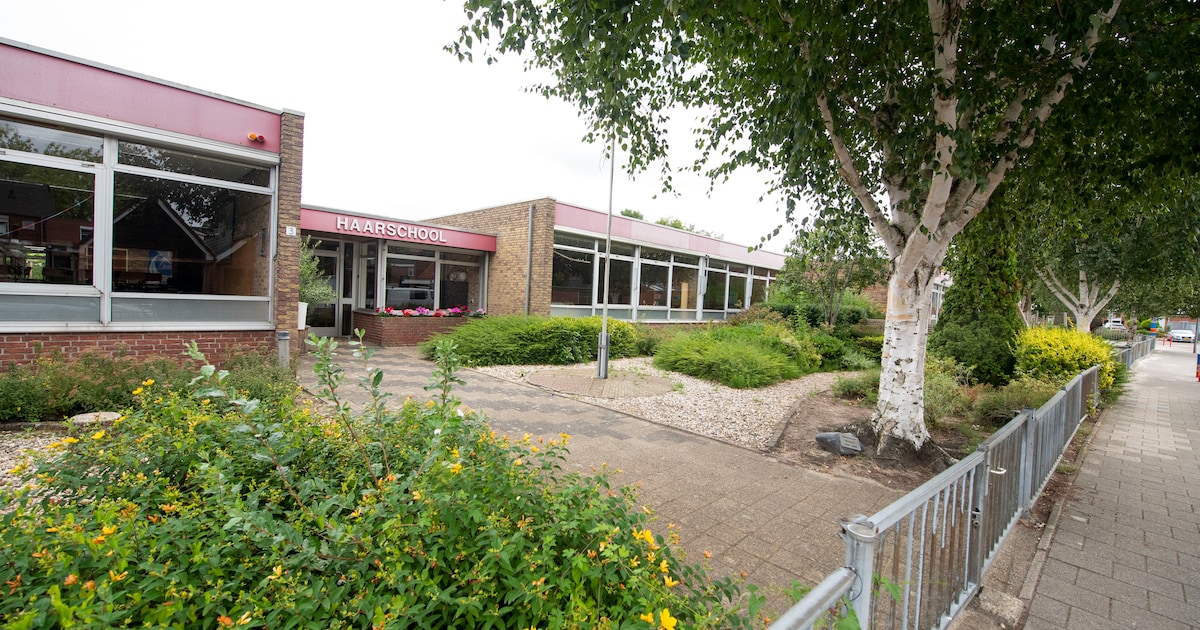 Werkzaamheden rondom de Haarschool in Rijssen: zo kun je omrijden ...