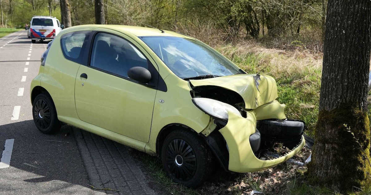 Auto botst tegen boom langs de Schoonhovenweg in Hollandscheveld