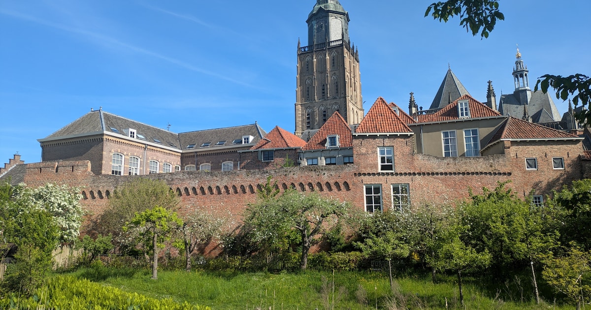 Van legerkampen tot topgevels: congres van archeologen in Zutphen
