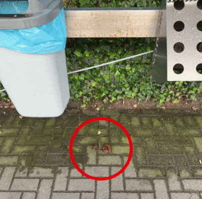 Dennis ziet op zijn camera wat een klant midden in de nacht achterlaat: ‘Ik zou me kapot schamen’