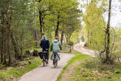 Fietstocht langs orgels in Elburg en Epe, organist laat onderweg horen hoe ze klinken