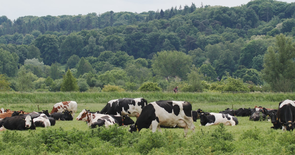 IVN Oost-Veluwezoom vertoont natuurfilm 'Grensgebied'in Dieren