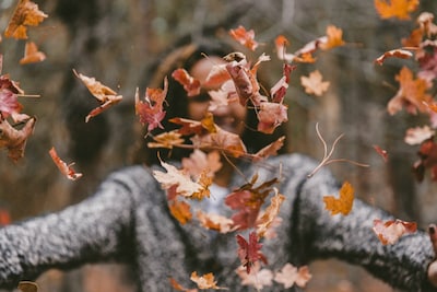 Van hele week skaten tot Cinekid festival: dit is de herfstvakantie in Deventer