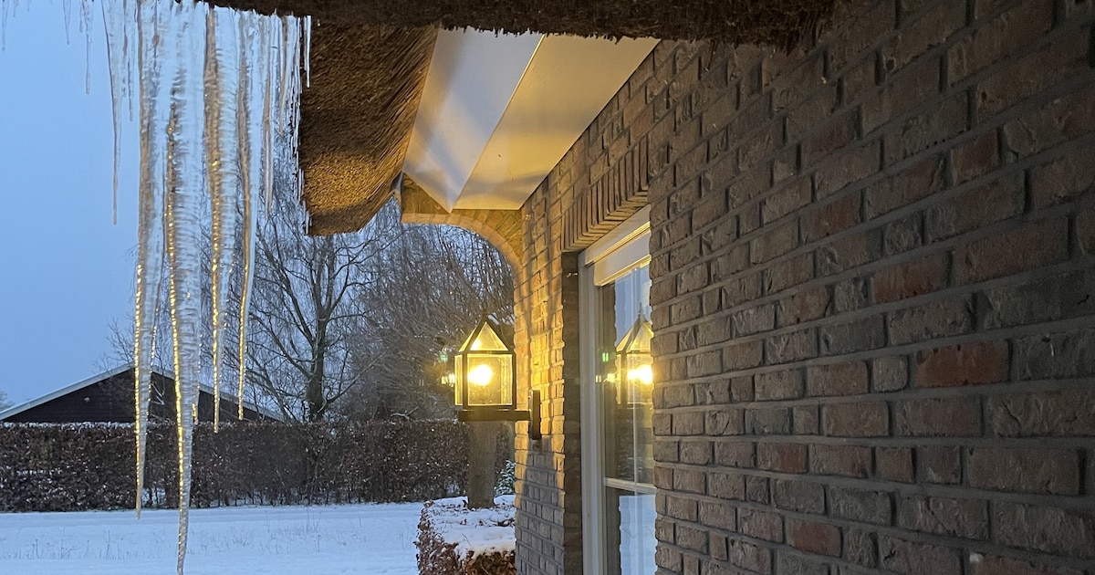 Dit stuurden jullie in: Loes geniet van lange ijspegel • Cheque van 5000 euro voor Sassendonkse Opto