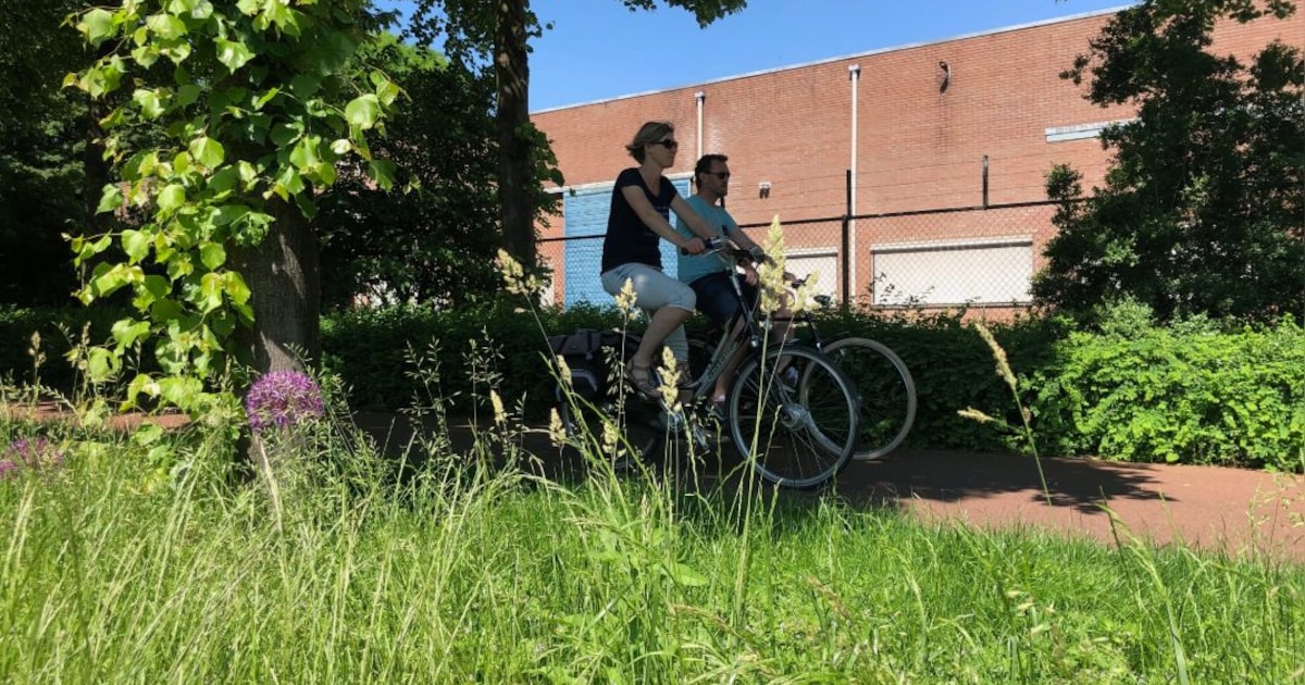 Wel of geen niesaanval als je naar buiten gaat: check hier hoeveel pollen in de Nijmeegse lucht zwev