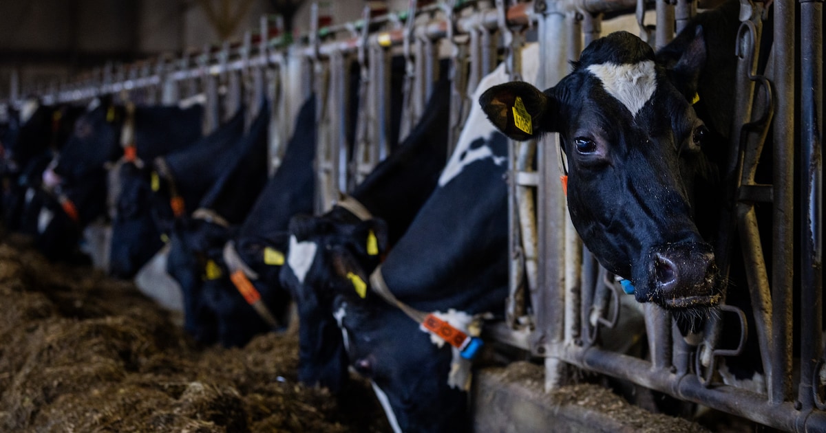 Nieuwe subsidieperiode voor landbouw start in Staphorst