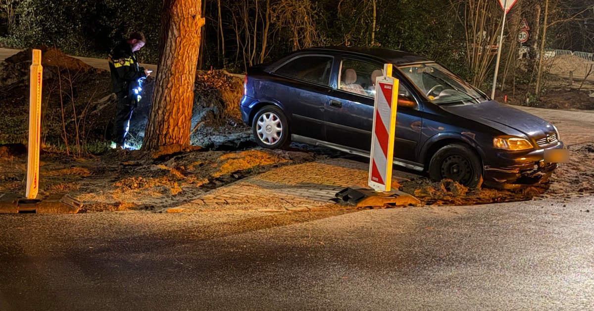 Auto belandt naast de Oude Telgterweg in Ermelo