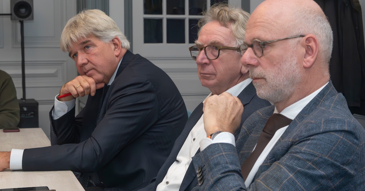 Liefdesverhaal Rheden en Brummen ligt politiek onder vuur: ‘Ieders flirtgedrag is anders’