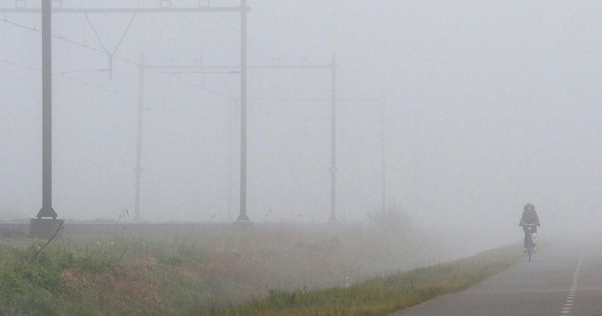 Zon en lokaal nevel of mist in Ermelo in de ochtend