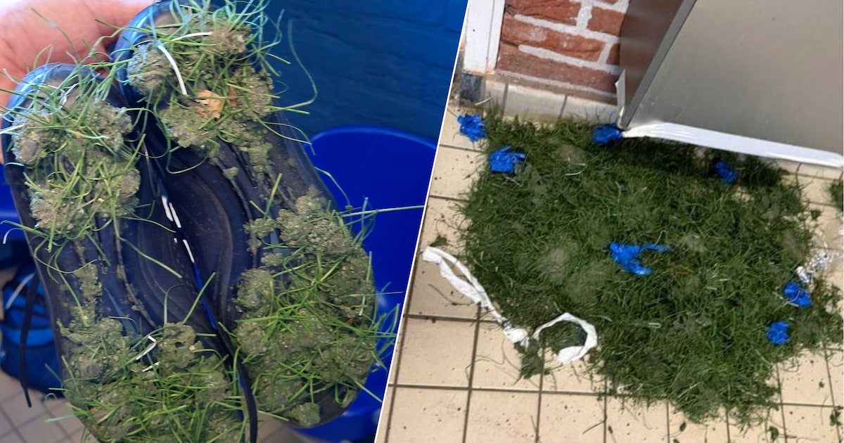Clubs in Deventer kunnen eindelijk terug op hun kunstgras na problemen met rubberen korrels