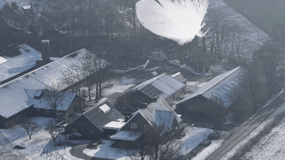 Hoe één veertje een complete Twentse industrie lamlegt