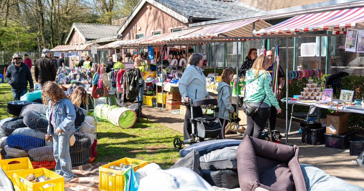 Groene Markt in Gorssel brengt duurzame initiatieven samen