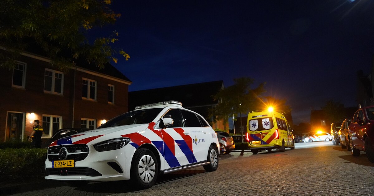 Vrouw overleden bij huiselijk geweld in Vlijmen, partner aangehouden: ‘Kindje is door buren opgevang