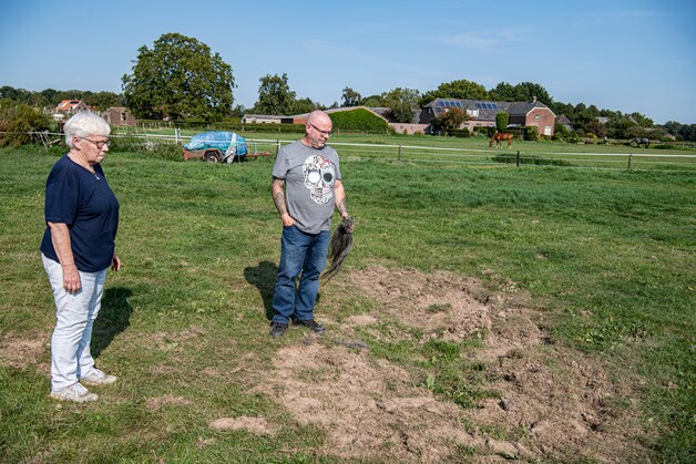Paard Jim werd toegetakeld, tot de dood aan toe: ‘Het enige wat ik nog ...