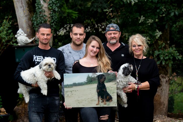 Rottweiler Rambo (3) kreeg eigen crematie: ‘Onder de grond opgegeten ...