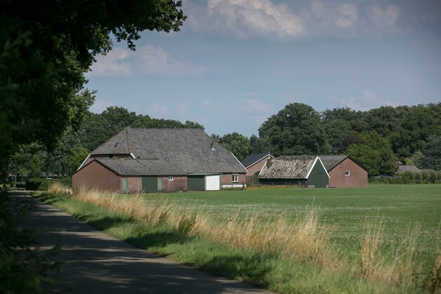 Alles wat Kees Koolen aanraakt verandert even niet in goud: zijn groene ...
