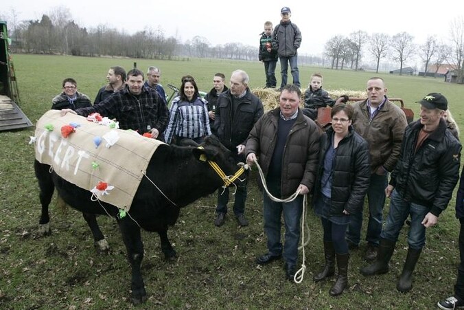 Ouders houden traditie bruidskoe in ere | Regio | De Stentor.nl