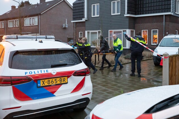 Wat moet je doen als je hond in een gevecht belandt? Expert Martin Gaus ...