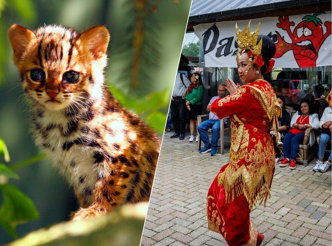 Deze familie heeft al 30 jaar een Indonesisch dierenpark: ‘De volgende ...
