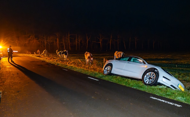 Auto glijdt door greppel bij Elspeet: ‘beginnend bestuurder’ moet ...