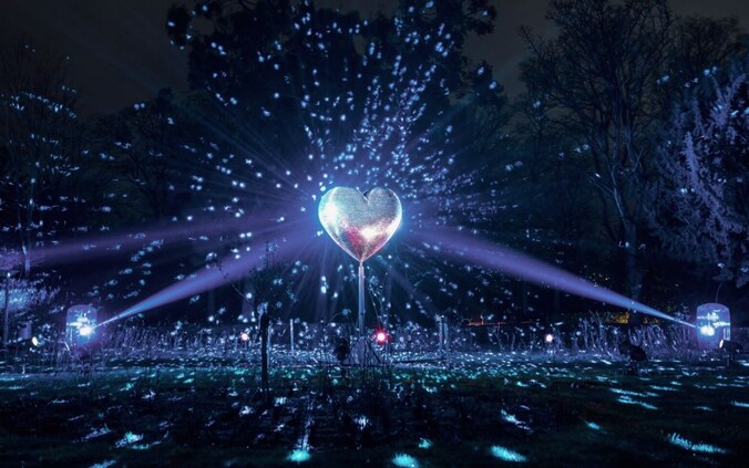 Royal Light Festival brengt lichtkunst in Apeldoornse straten | Regio ...