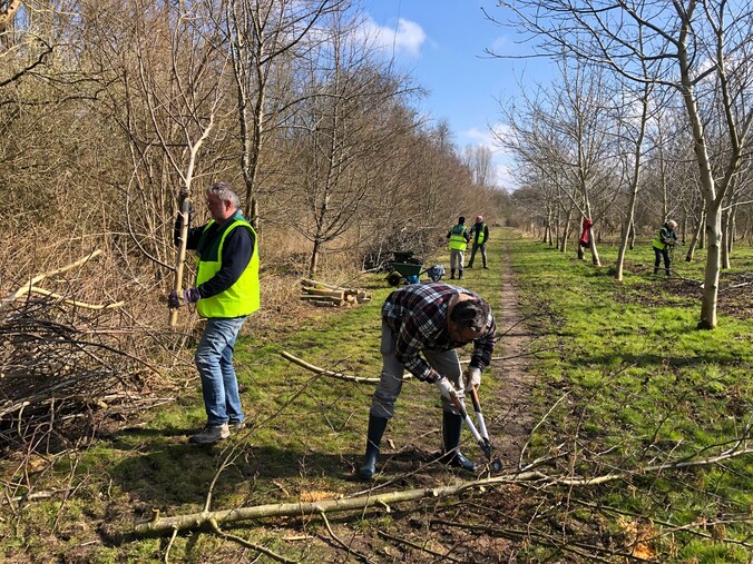 Handen uit de mouwen in het Wisentbos: stichting in Dronten zoekt ...
